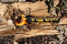 Load image into Gallery viewer, Black Beard Fire Starter- Single Fire Starter
