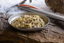 Load image into Gallery viewer, Mountain House- Beef Stroganoff
